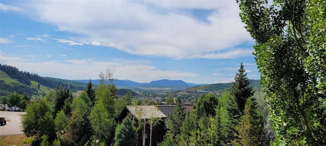 465 Tamarack Dr Unit 210B, Steamboat Springs, CO 80487 - photo 2