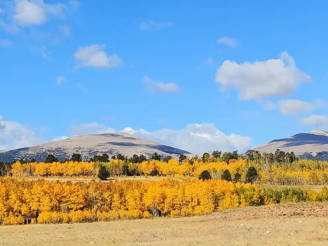 2567 Coil Dr, Fairplay, CO 80440 - photo 26
