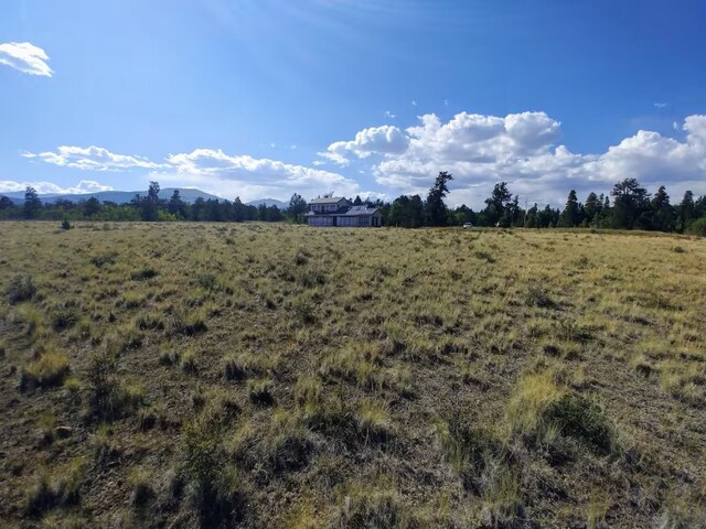 2567 Coil Dr, Fairplay, CO 80440 - photo 21