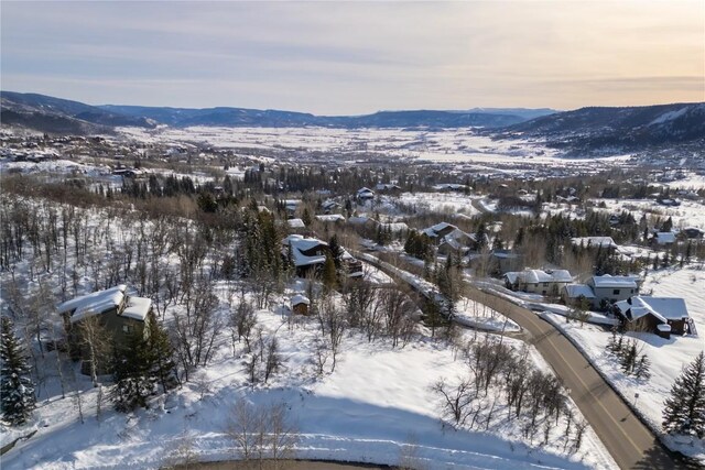 160 N Steamboat Blvd, Steamboat Springs, CO 80487 - photo 15
