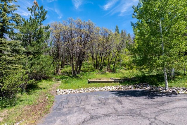 160 N Steamboat Blvd, Steamboat Springs, CO 80487 - photo 8