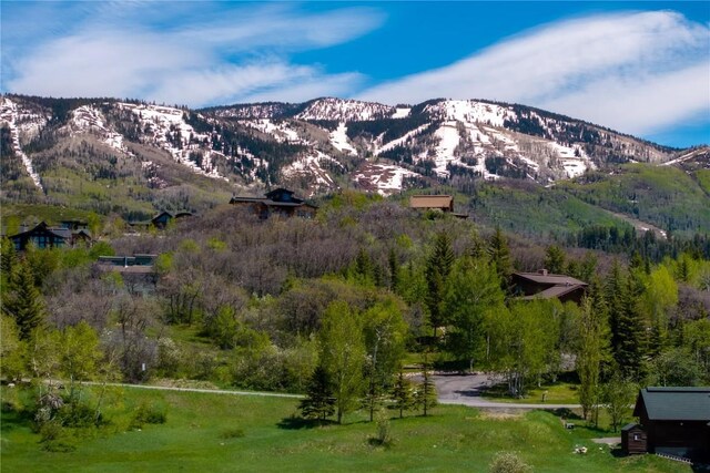 160 N Steamboat Blvd, Steamboat Springs, CO 80487 - photo 2