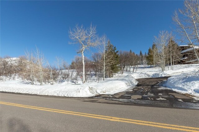 160 N Steamboat Blvd, Steamboat Springs, CO 80487 - photo 19