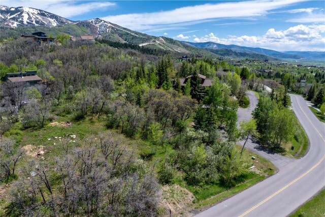 160 N Steamboat Blvd, Steamboat Springs, CO 80487 - photo 4