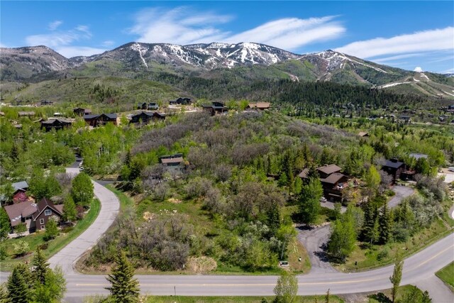 160 N Steamboat Blvd, Steamboat Springs, CO 80487 - photo 1