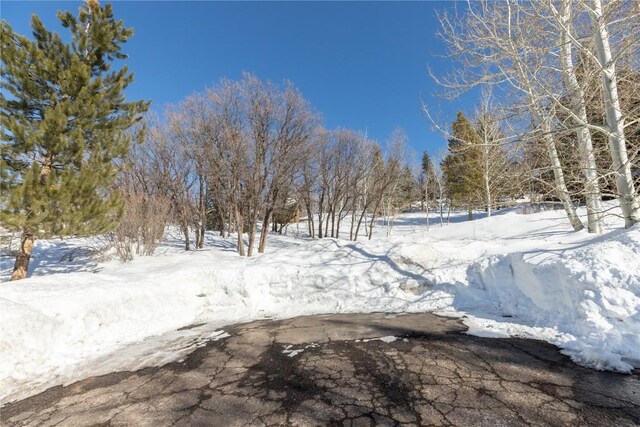 160 N Steamboat Blvd, Steamboat Springs, CO 80487 - photo 17