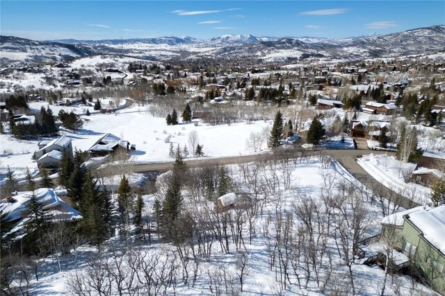 160 N Steamboat Blvd, Steamboat Springs, CO 80487 - photo 24