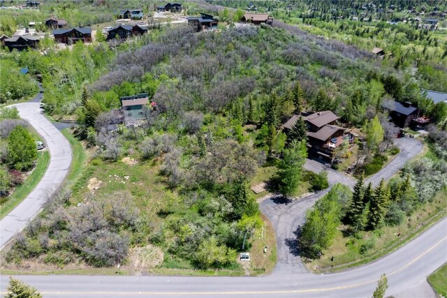 160 N Steamboat Blvd, Steamboat Springs, CO 80487 - photo 6