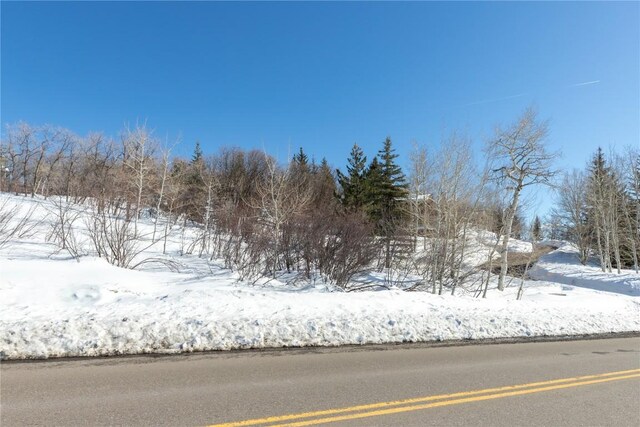 160 N Steamboat Blvd, Steamboat Springs, CO 80487 - photo 18