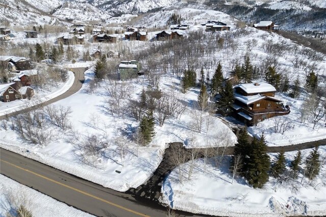 160 N Steamboat Blvd, Steamboat Springs, CO 80487 - photo 21