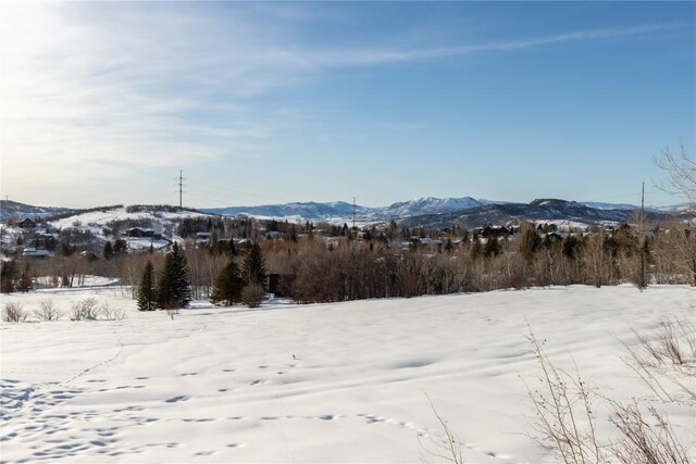 160 N Steamboat Blvd, Steamboat Springs, CO 80487 - photo 16
