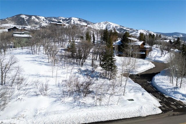160 N Steamboat Blvd, Steamboat Springs, CO 80487 - photo 22