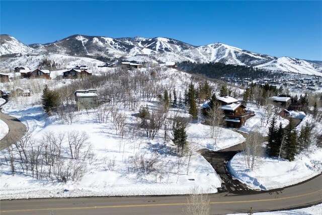 160 N Steamboat Blvd, Steamboat Springs, CO 80487 - photo 25