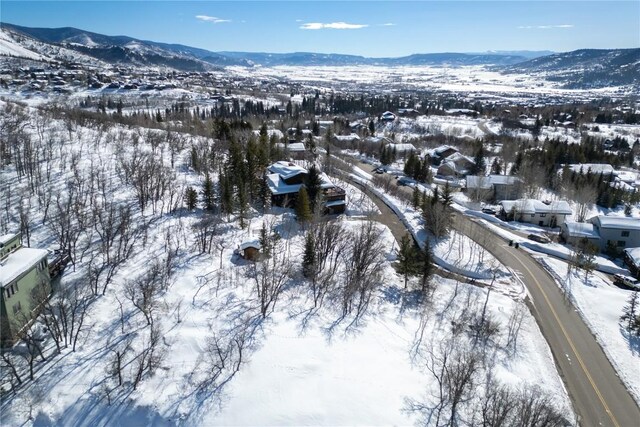 160 N Steamboat Blvd, Steamboat Springs, CO 80487 - photo 26