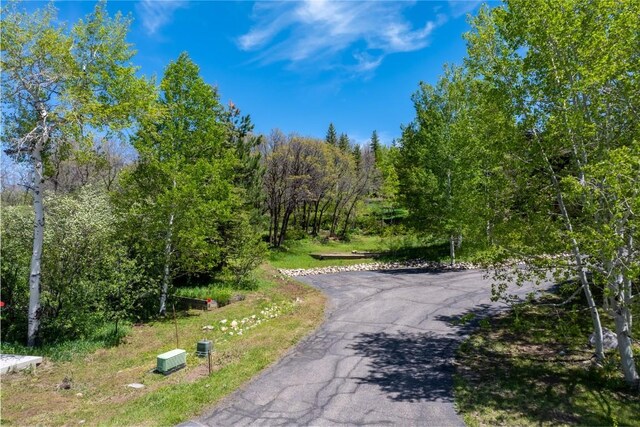 160 N Steamboat Blvd, Steamboat Springs, CO 80487 - photo 9