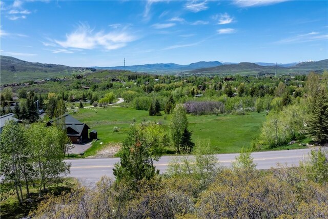 160 N Steamboat Blvd, Steamboat Springs, CO 80487 - photo 10