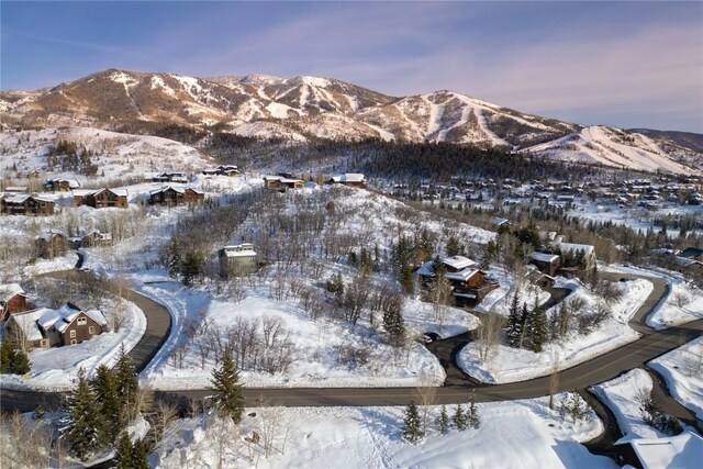 160 N Steamboat Blvd, Steamboat Springs, CO 80487 - photo 13