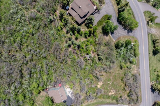 160 N Steamboat Blvd, Steamboat Springs, CO 80487 - photo 12