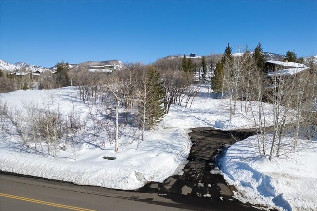 160 N Steamboat Blvd, Steamboat Springs, CO 80487 - photo 23
