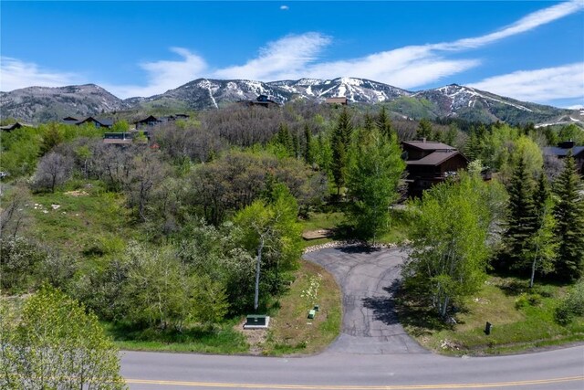 160 N Steamboat Blvd, Steamboat Springs, CO 80487 - photo 7