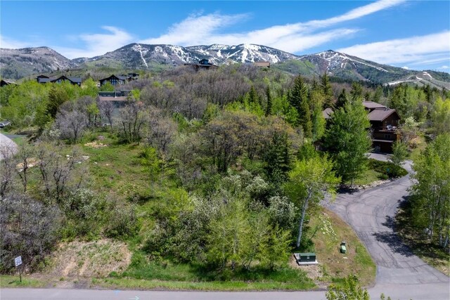 160 N Steamboat Blvd, Steamboat Springs, CO 80487 - photo 3
