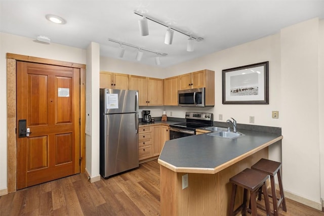 kitchen featuring a peninsula, wood finished floors, stainless steel appliances, and a sink