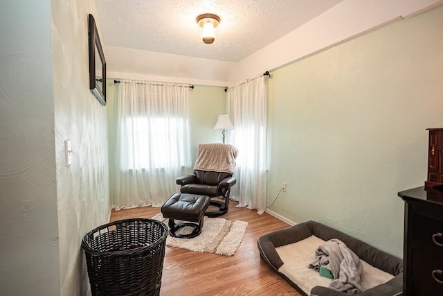 420 County Road 64, Craig, CO 81625 - living area with a textured ceiling, wood finished floors, baseboards, and lofted ceiling