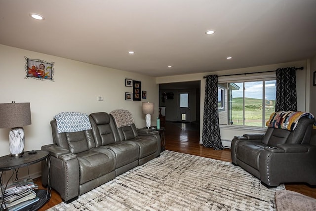 420 County Road 64, Craig, CO 81625 - living room with baseboard heating, recessed lighting, and wood finished floors