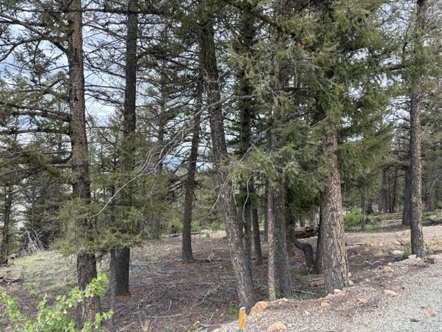 TBD Middle Fork, Fairplay, CO 80440