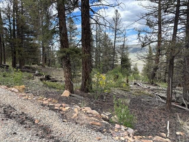 TBD Middle Fork, Fairplay, CO 80440