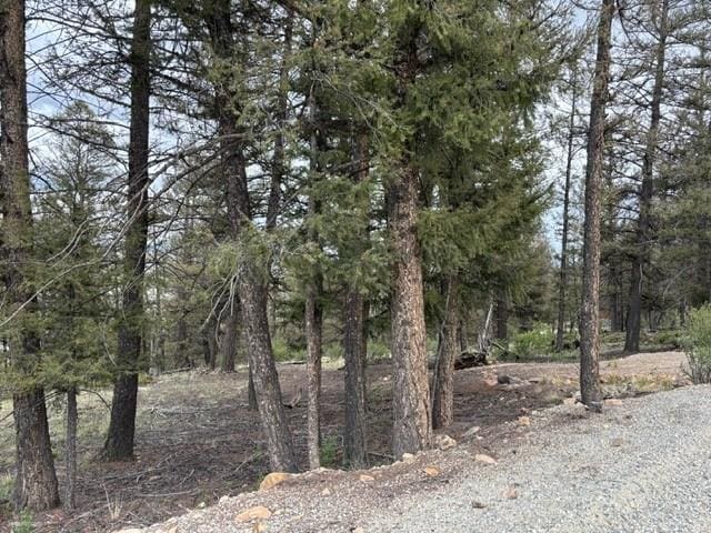 TBD Middle Fork, Fairplay, CO 80440