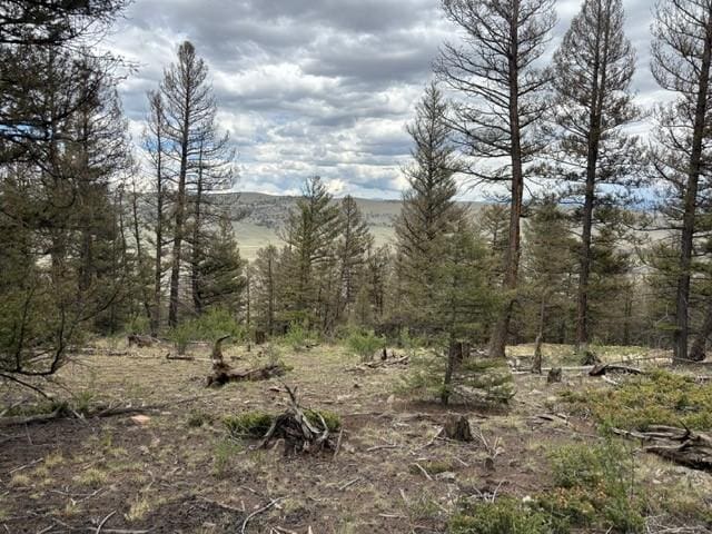 TBD Middle Fork, Fairplay, CO 80440