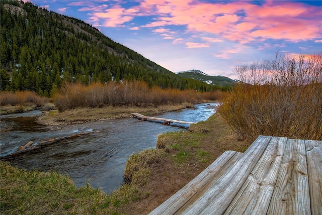 14 Rock Springs Rd, Breckenridge, CO 80424 - water view with mountains and a forest