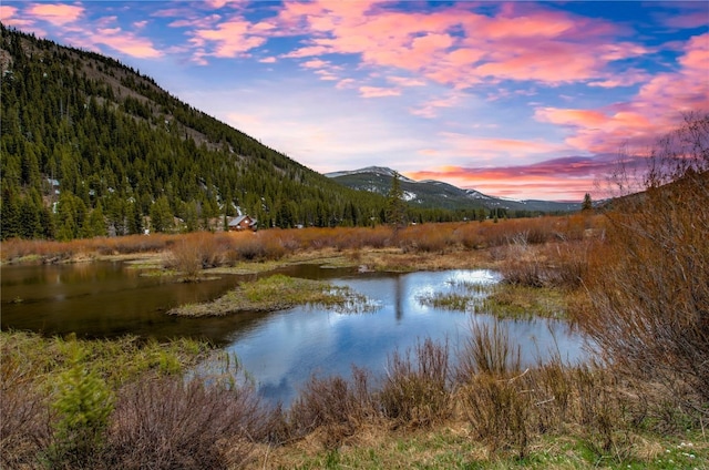 14 Rock Springs Rd, Breckenridge, CO 80424 - water view featuring a mountainous background and a heavily wooded area