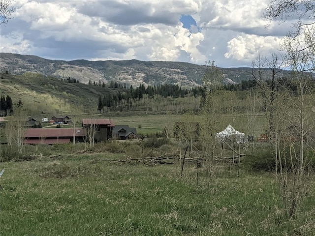 32423 Ute Trl, Oak Creek, CO 80467 - photo 9