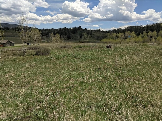 32423 Ute Trl, Oak Creek, CO 80467 - photo 1