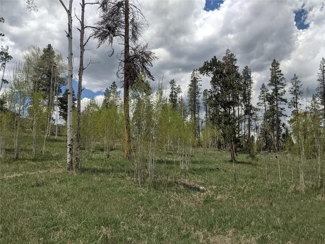 32423 Ute Trl, Oak Creek, CO 80467 - photo 5
