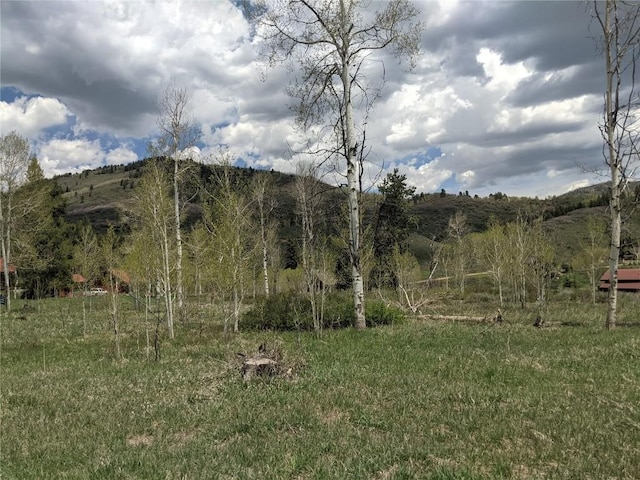 32423 Ute Trl, Oak Creek, CO 80467 - photo 8