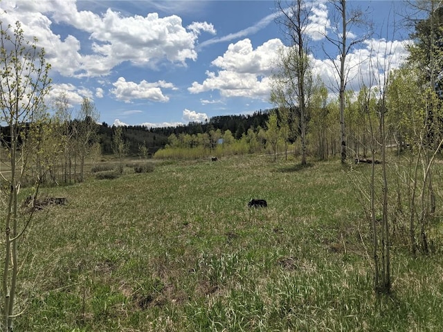 32423 Ute Trl, Oak Creek, CO 80467 - photo 3
