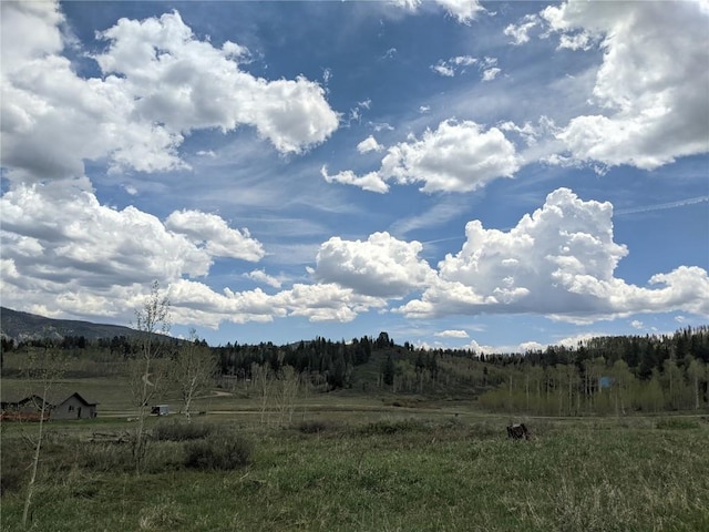 32423 Ute Trl, Oak Creek, CO 80467 - photo 4