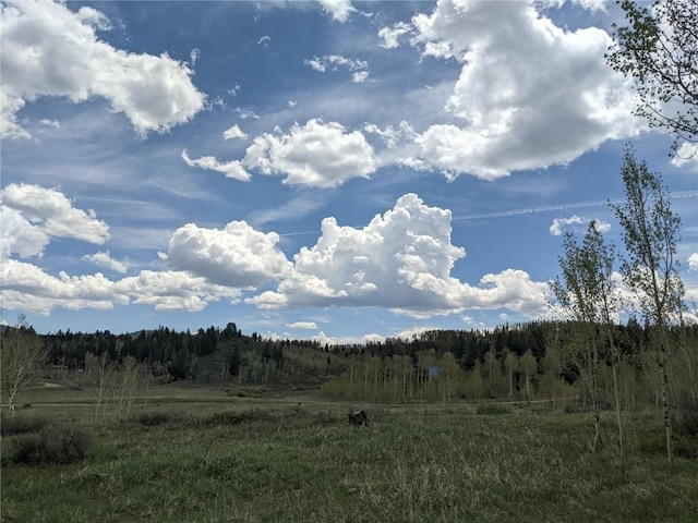 32423 Ute Trl, Oak Creek, CO 80467 - photo 6