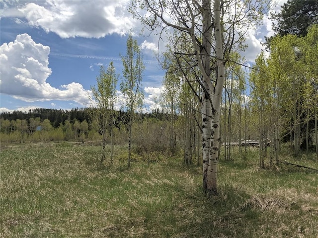 32423 Ute Trl, Oak Creek, CO 80467 - photo 2
