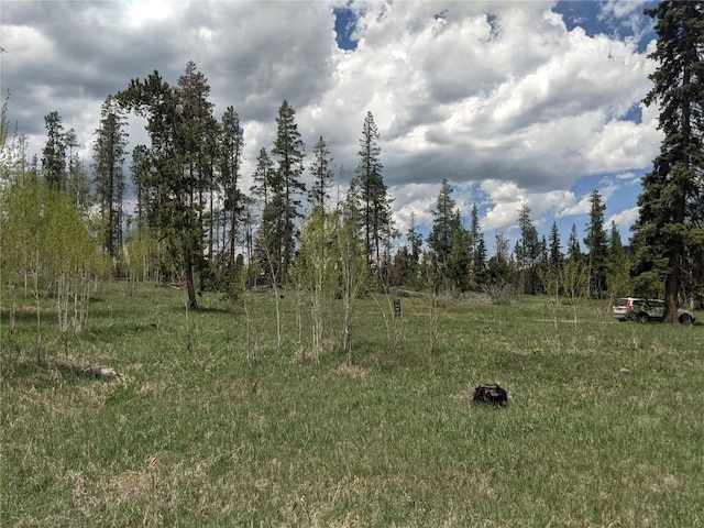 32423 Ute Trl, Oak Creek, CO 80467 - photo 7