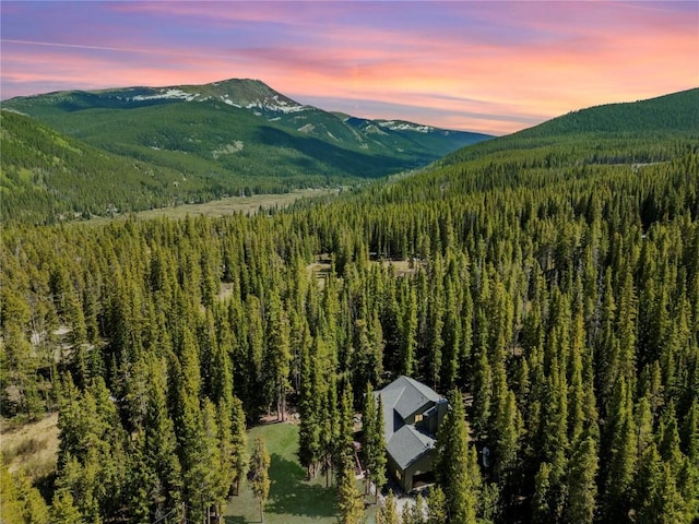 50 Sunset Dr, Breckenridge, CO 80424 - view of mountain backdrop featuring a forest