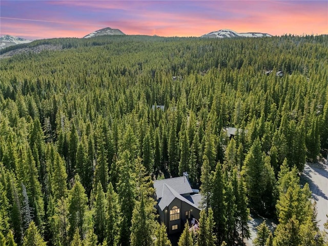 50 Sunset Dr, Breckenridge, CO 80424 - view from above of property featuring a forest