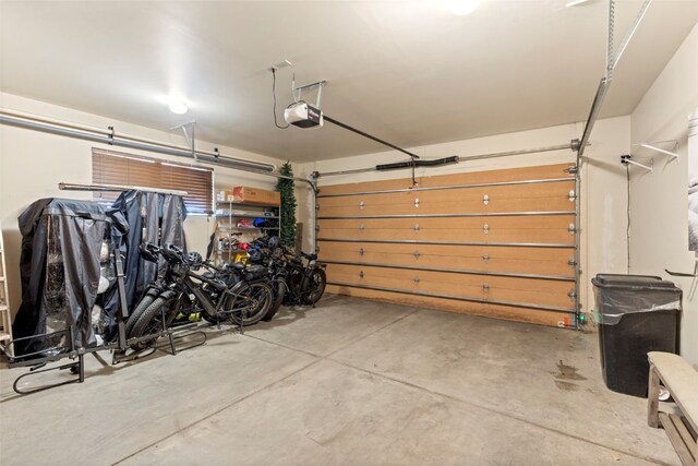 73 Chestnut Ln Unit 73, Breckenridge, CO 80424 - garage with a garage door opener