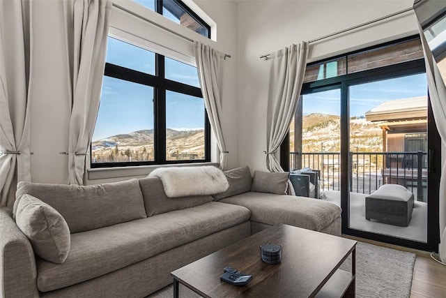 living area featuring wood finished floors and a mountain view