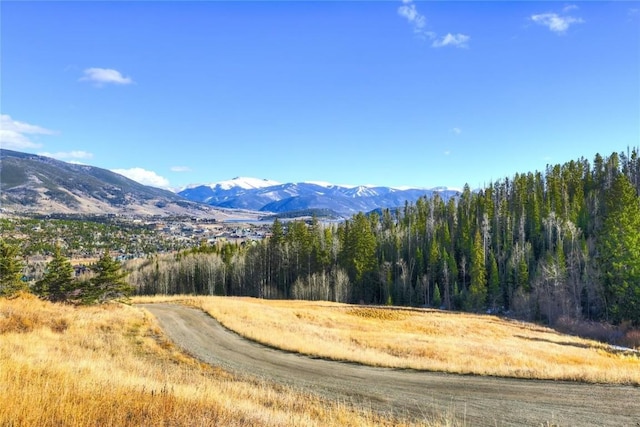 348 Jade Rd, Silverthorne, CO 80498 - mountain view