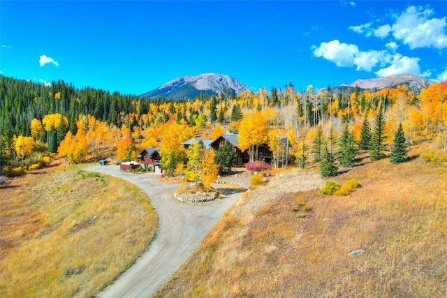 348 Jade Rd, Silverthorne, CO 80498 - mountain view featuring a forest