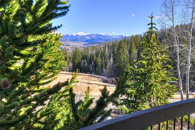 348 Jade Rd, Silverthorne, CO 80498 - view of mountain backdrop with a forest